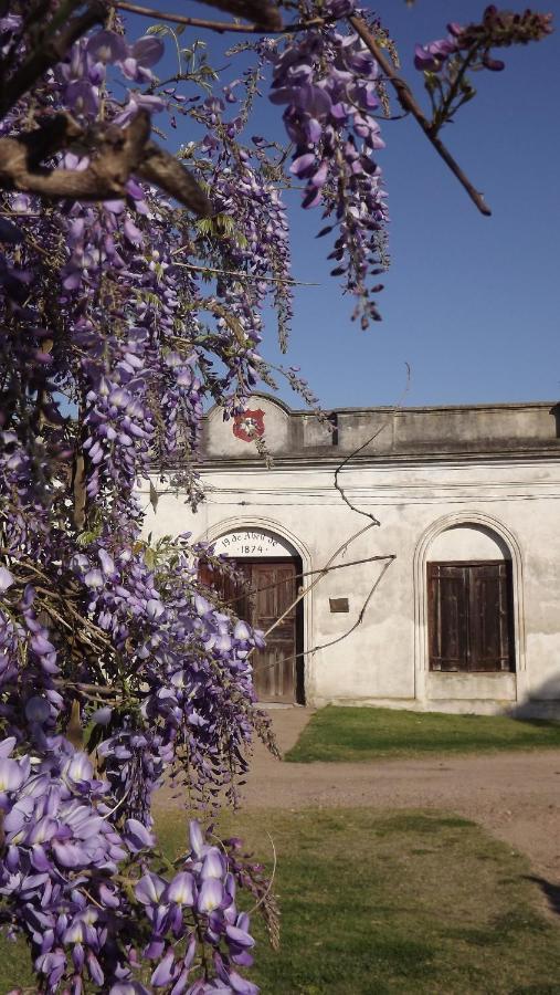 Hotel Suizo Estación Colonia Suiza Kültér fotó